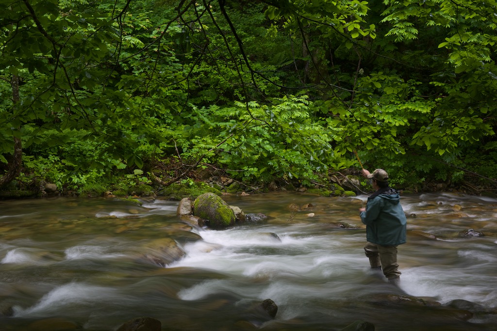 Stacks Image 48